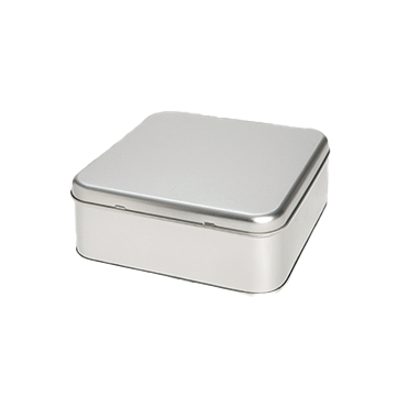 BS1056 Zilveren vierkant koekblik kopen?