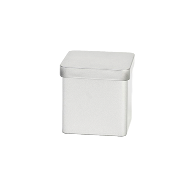 BS2022 Vierkant extra klein blik