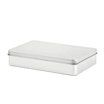 BS2028 Rechthoekig blik met scharnierdeksel