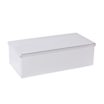 BS2040 Rechthoekig cakeblik